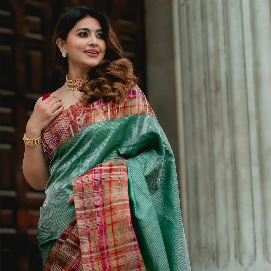 Sneha Wearing Beautiful Earrings Jewellery Green Saree Maroon Blouse